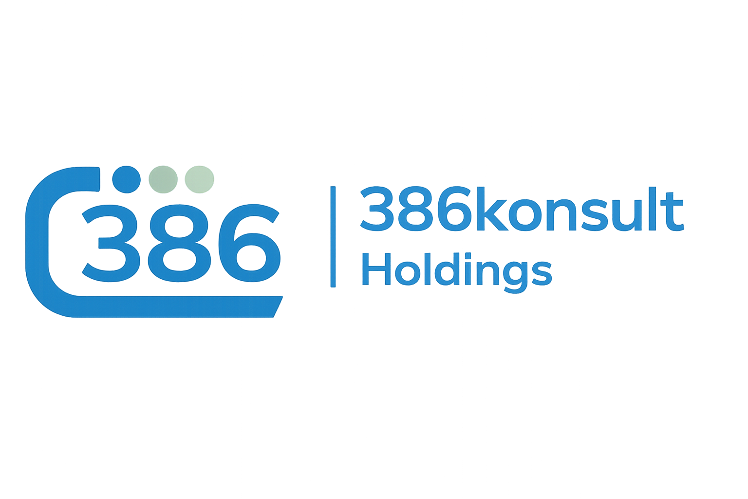386Konsult Holdings